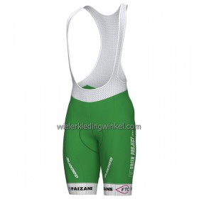 Fietsbroek Kort met Bretels 2023 Bardiani-CSF Faizane Groen Wit